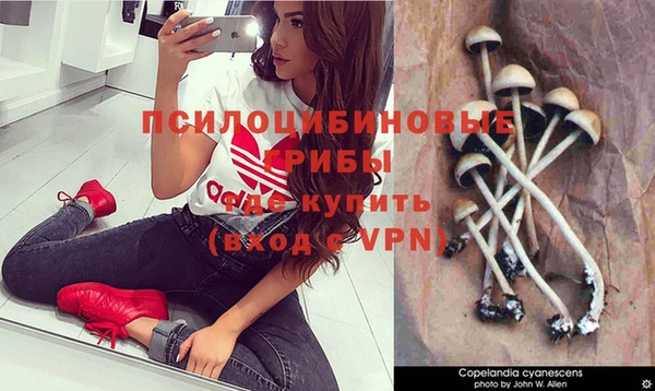 спиды Мегион