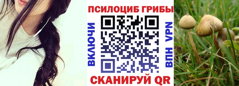 Псилоцибиновые грибы Psilocybe  Шиханы 